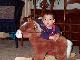 Nolan Horse 2