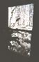 roll2 0007