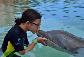 dolphin0003