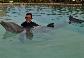 dolphin0005