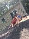 IMG 1266