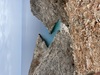 Highslide JS
